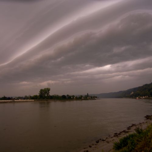 Arcus