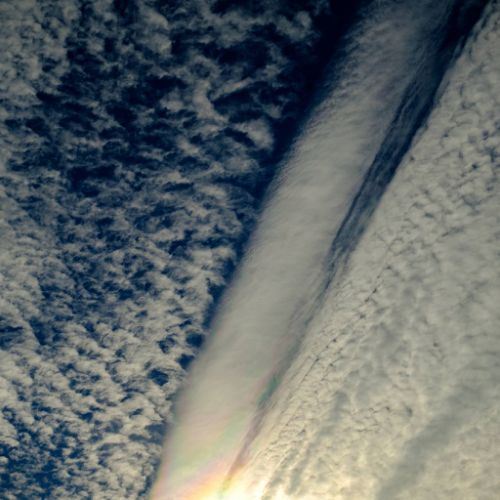Altocumulus