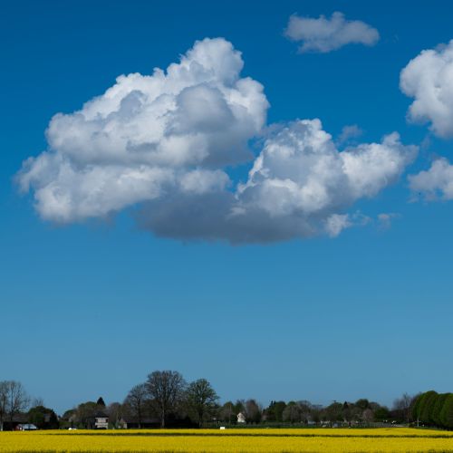 Cumulus Humilis