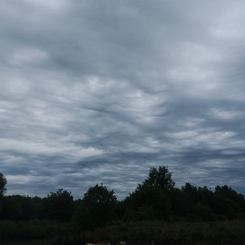 Asperitas. La Harelle Heurteauville.