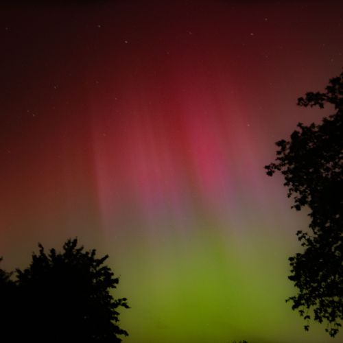 Aurore Heurteauville