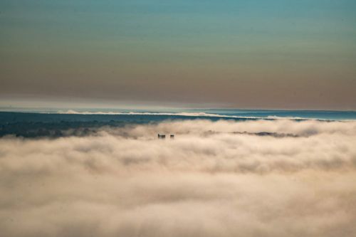 Mer de nuages. Abbaye de Jumièges.